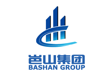岜山集團品牌形象LOGO/VI設(shè)計