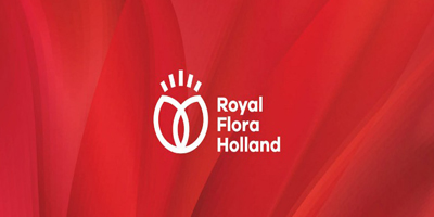 怎么才能做好北京企業vi設計?