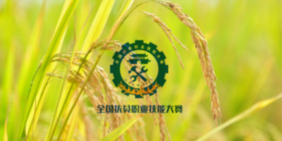 全國(guó)扶貧職業(yè)技能大賽LOGO設(shè)計(jì)揭曉