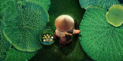 《風味人間2》宣傳海報設計，讓你饞到流口水